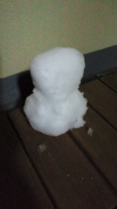 昨夜21時過ぎに作られた雪だるまミニ